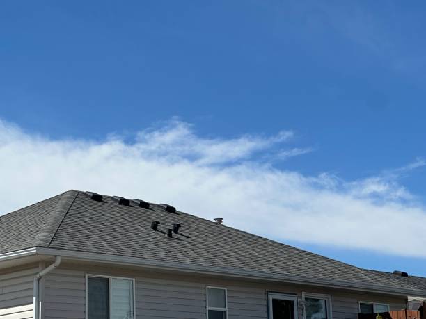 Roof Coating Services in Gainesboro, TN